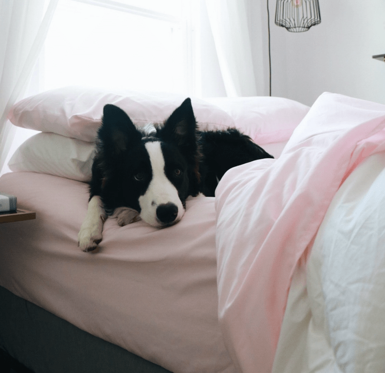 How to Keep Sheets on Bed With Sheet Stays